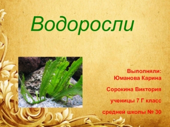 Водоросли