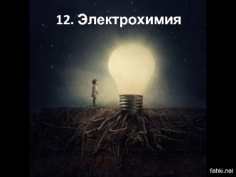 12. Электрохимия