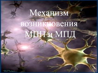 Механизм возникновения МПП и МПД