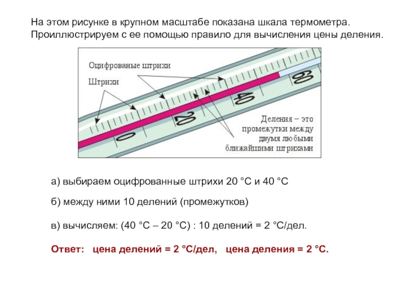Определи по рисунку цену деления шкалы. Шкала деления термометра. Шкала на градуснике - это определение. Шкала деления ртутного градусника. Деления на градуснике.