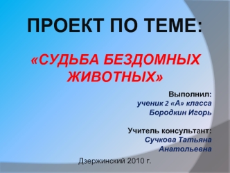 проект по теме: 
 

Судьба бездомных животных