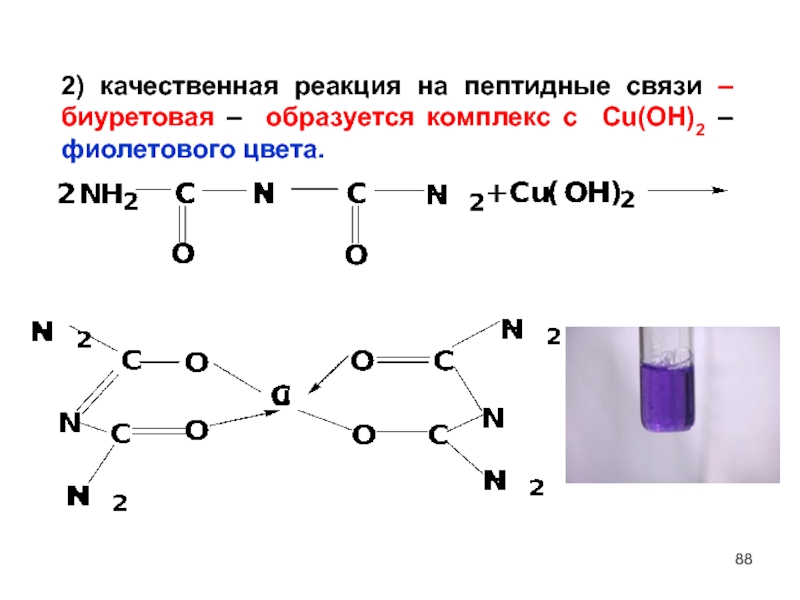 Биуретовая реакция на белки