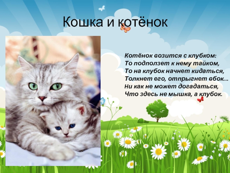 Презентация про котят