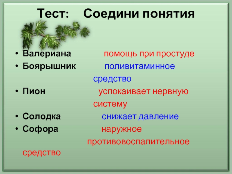 Реферат: Экология Краснодара