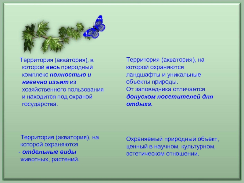 Реферат: Экология Краснодара