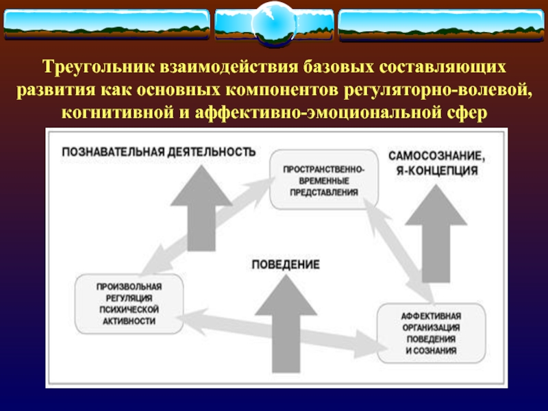 Составляющие развития. Треугольник взаимодействия базовых составляющих развития. Когнитивная аффективная и поведенческая сферы. Когнитивный компонент когнитивная сфера. Основные составляющие развития.