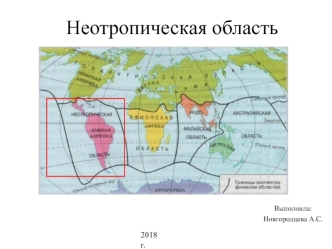 Неотропическая область