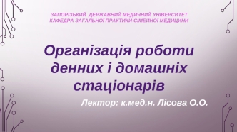 Організація роботи денних і домашніх стаціонарів