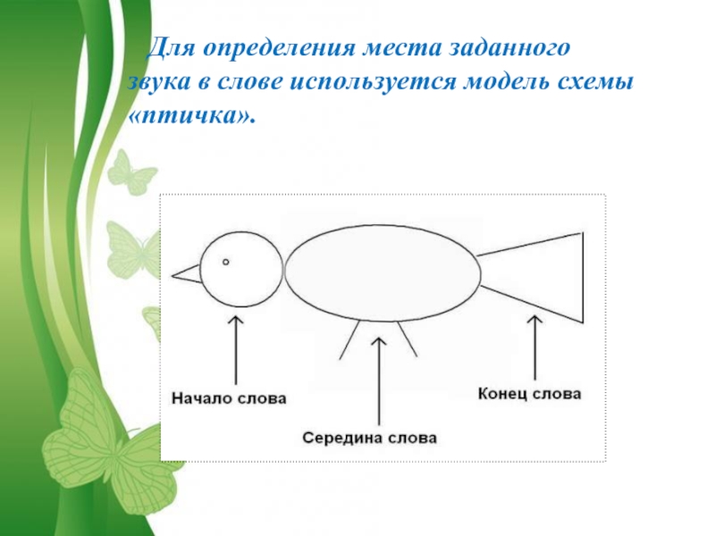 Схема слова птичка