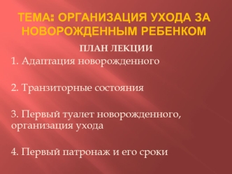 Организация ухода за новорожденным ребенком