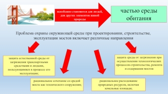 Проблема охраны окружающей среды при проектировании, строительстве, эксплуатации мостов