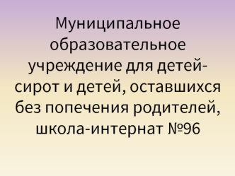 Муниципальное образовательное учреждение для детей-сирот и детей, оставшихся без попечения родителей, школа-интернат №96