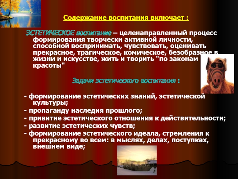 Целенаправленный процесс формирования. Содержание воспитания включает:. Содержание воспитания включает воспитание. Содержание эстетического воспитания. Педагогическая антропология и психология воспитания.