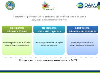 Программы регионального финансирования субъектов малого и среднего предпринимательства