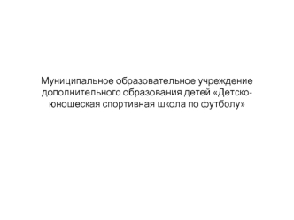 Муниципальное образовательное учреждение дополнительного образования детей Детско-юношеская спортивная школа по футболу