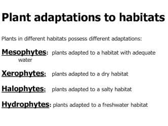 Plant adaptations to habitats