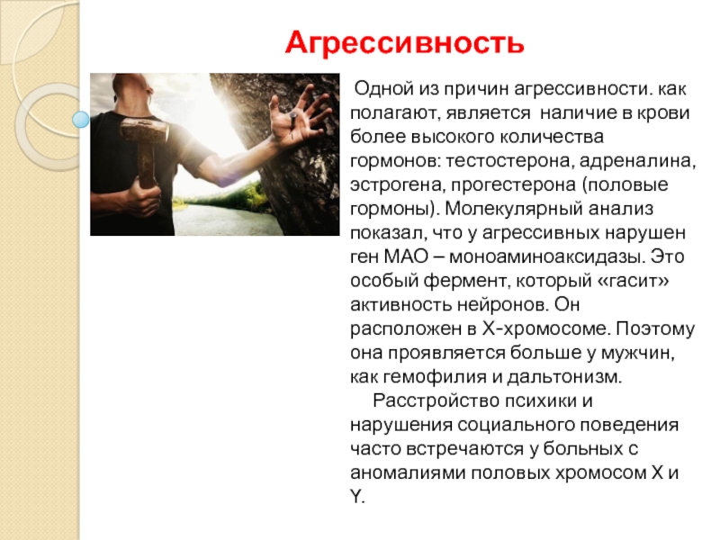 Основы поведения. Генетические основы поведения. Гормон агрессивности. Генетическая агрессия. Гормон злости и агрессии у мужчин.