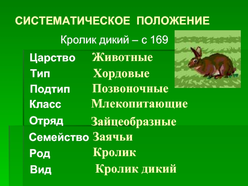 Схема вид род семейство отряд класс подтип тип царство