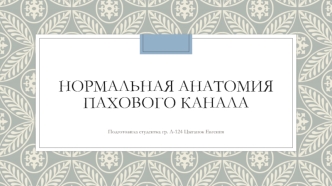 Нормальная анатомия пахового канала