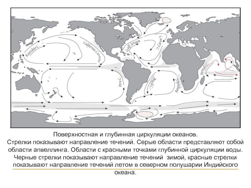 Карта течений мирового океана