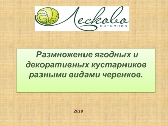 Размножение ягодных и декоративных кустарников разными видами черенков