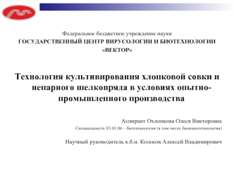 Технология культивирования хлопковой совки и непарного шелкопряда в условиях опытно-промышленного производства