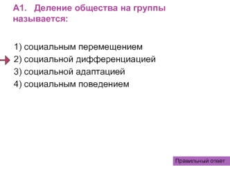 А1.   Деление общества на группы называется: