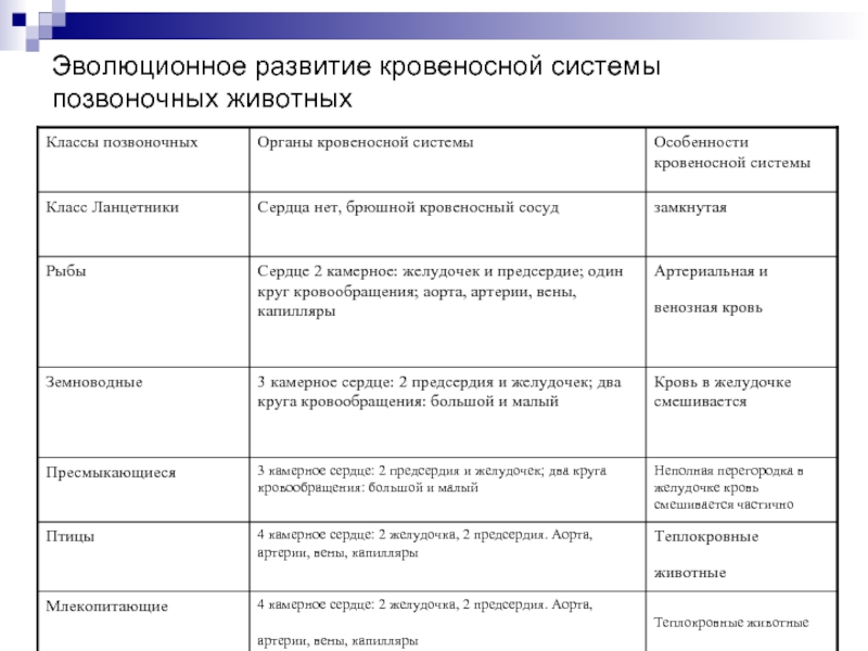 Презентация эволюция кровеносной системы позвоночных