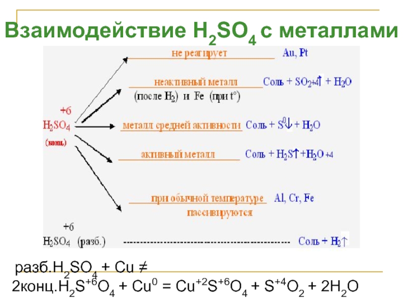 Взаимодействие H2SO4 с металлами разб.H2SO4 + Cu ≠ 2конц.H2...