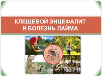 КЛЕЩЕВОЙ ЭНЦЕФАЛИТ И БОЛЕЗНЬ ЛАЙМА