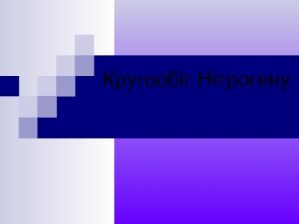 Кругообіг Нітрогену