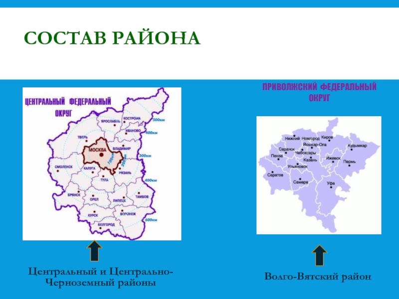 Какие районы входят в состав центральной. Центральный Центрально Черноземный и Волго Вятский район. Состав Центрально Черноземного района.
