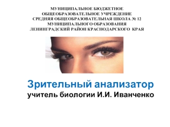 Зрительный анализаторучитель биологии И.И. Иванченко