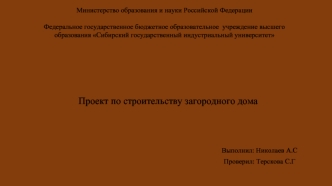 проект Николаев А.С