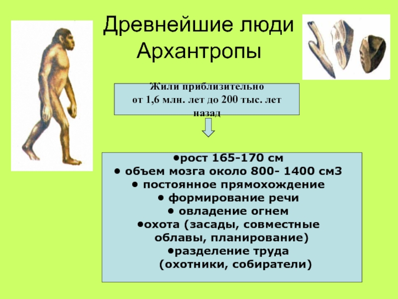 К какой ископаемой форме архантропа относится представитель с рисунка 9 букв