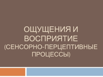 Ощущения и восприятие (сенсорно-перцептивные процессы)