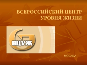 ВСЕРОССИЙСКИЙ ЦЕНТР УРОВНЯ ЖИЗНИ