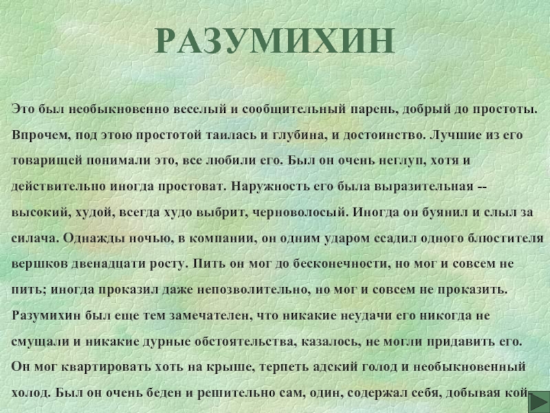 В чем суть проекта разумихина