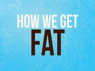 How we get fat