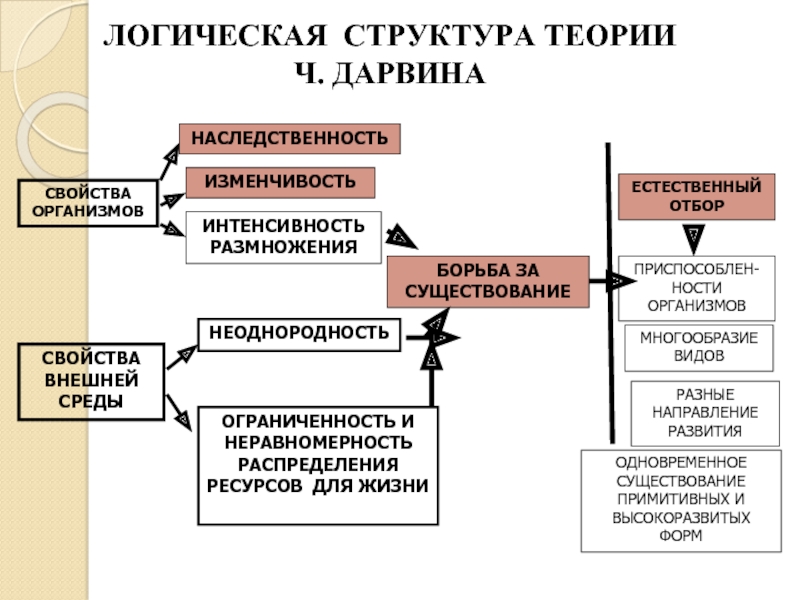 Оформите схему логическая структура дарвинизма живые организмы характеризуются жизненные ресурсы