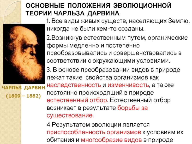 Утверждение теории. Чарльз Дарвин теория эволюции. Основные идеи Чарльза Дарвина. Эволюционные идеи ч Дарвина.