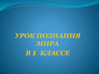 УРОК ПОЗНАНИЯ МИРАВ 1  КЛАССЕ