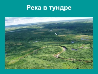 Река в тундре