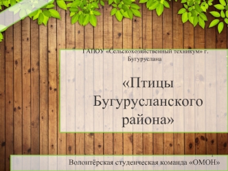 Птицы Бугурусланского района