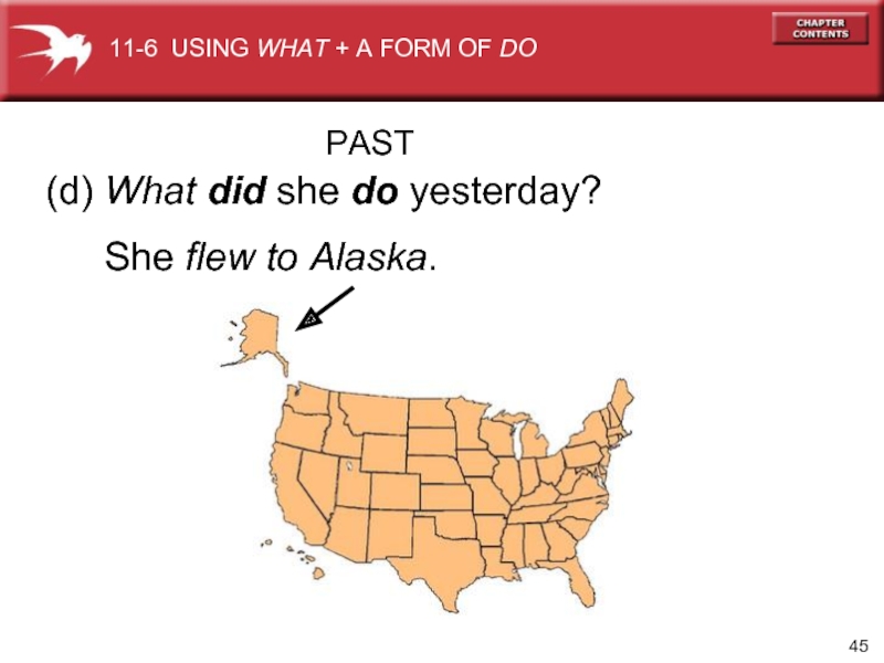 (d) What did she do yesterday? She flew to Alaska.  11-6 USING WHAT + A FORM