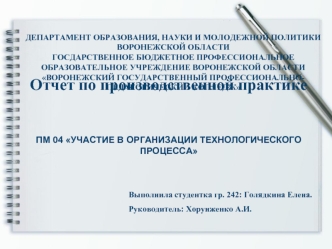 Отчет по производственной практике. Участие в организации технологического процесса