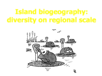 Island biogeography. Diversity on regional scale