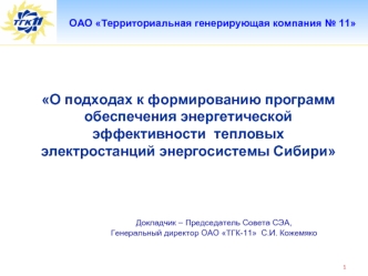 О подходах к формированию программ обеспечения энергетической эффективности  тепловых электростанций энергосистемы Сибири