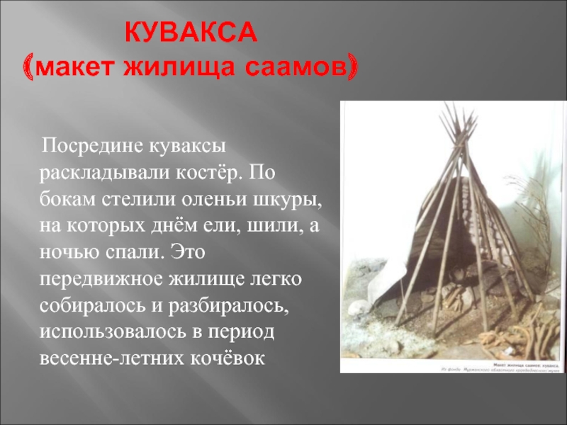 Чума юрта яранга кувакса что общего. Кувакса жилище саамов. Макет жилища саамов. Саамы презентация. Саамы традиции и обычаи презентация.