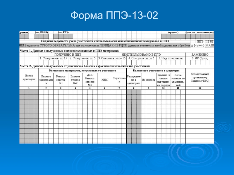 Форма ппэ 13 02 маш образец